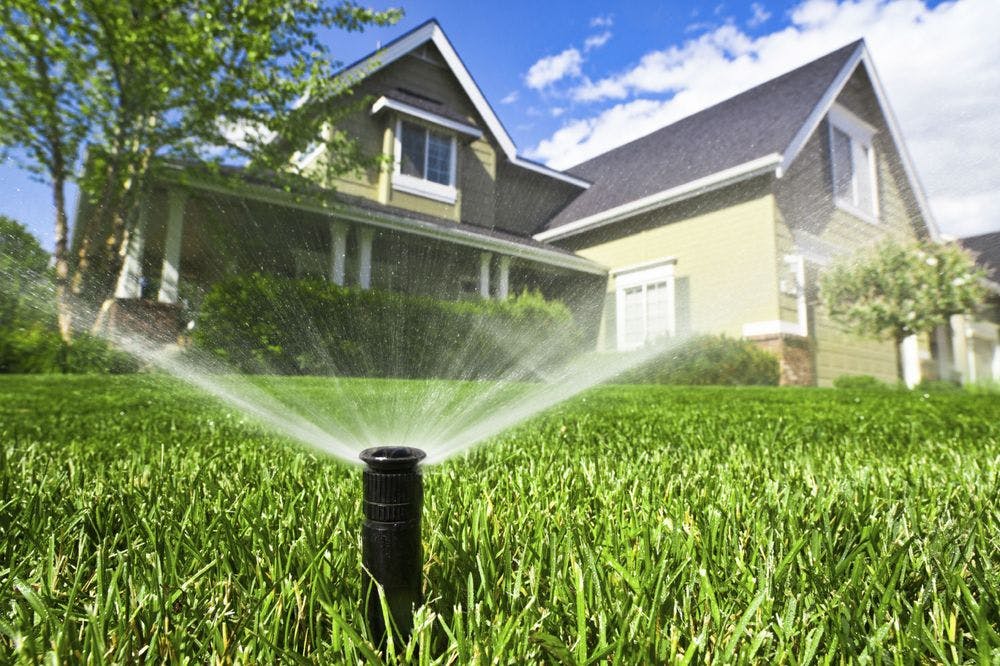 Water the lawn properly