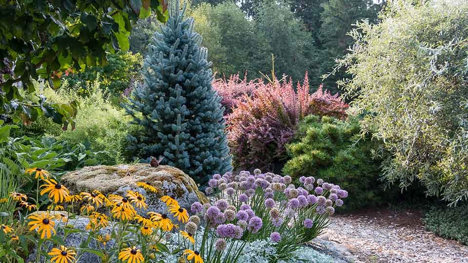 Top Landscaping Ideas